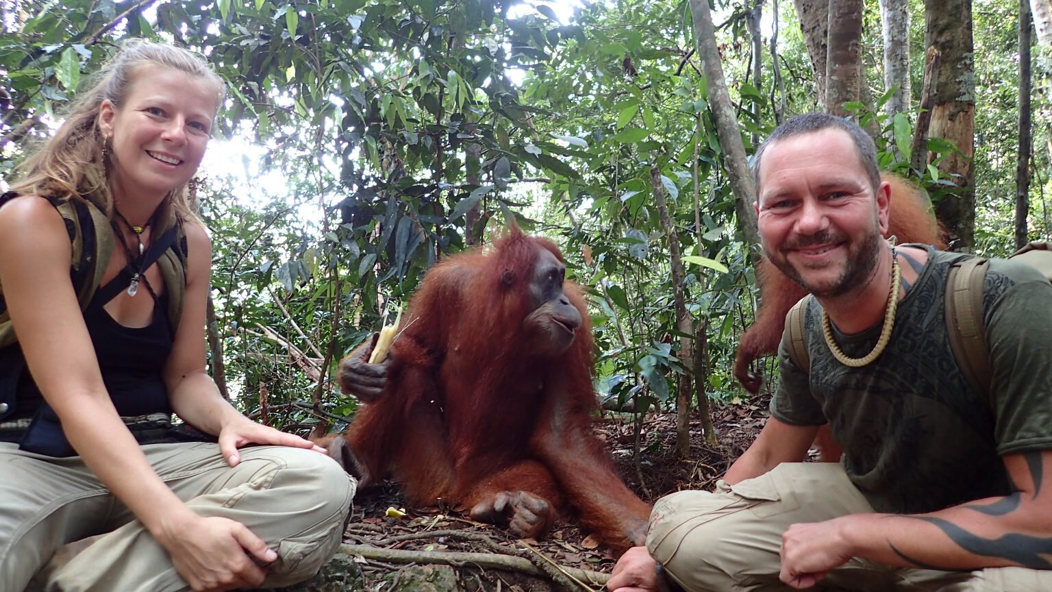 KarmaArt-Team im Dschungel neben einem Orang-Utan