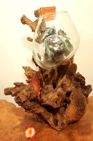 Teakwurzel mit Buddha Gesicht und Glas, ca. 45cm