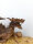Handgearbeiteter Holzdrache mit Kugel - Unikat