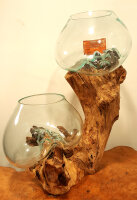 Teakwurzel mit  2 Gläsern, ca. 45 cm