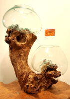 Teakwurzel mit  2 Gläsern, ca. 45 cm