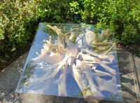 Couchtisch eckig aus echter Baumwurzel mit Glasplatte,...