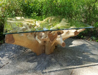 Couchtisch eckig aus echter Baumwurzel mit Glasplatte, ca. 100x100x45cm