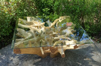 Couchtisch eckig aus echter Baumwurzel mit Glasplatte, ca. 100x100x45cm