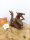Handgefertigter stehender Holzdrache – 10 cm, Unikat