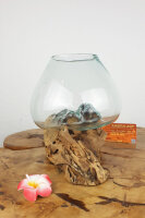 Wurzel mit Glas, ca. 15cm