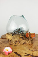 Wurzel mit Glas, ca. 15cm