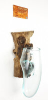 Teakwurzel mit Glas hängend