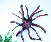 Baumwurzel mit Kopf, 40cm