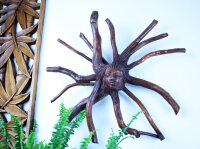 Baumwurzel mit Kopf, 40cm