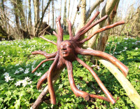 Baumwurzel mit Kopf, 40cm