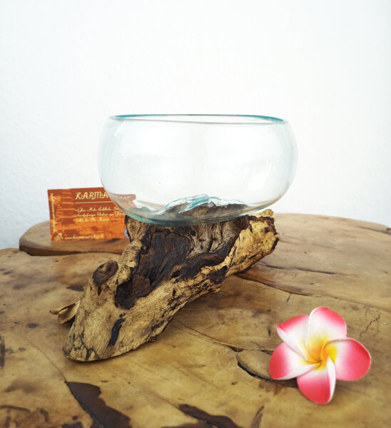 Wurzel mit Glasschale, ca. 14cm