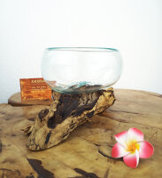 Wurzel mit Glasschale, ca. 14cm