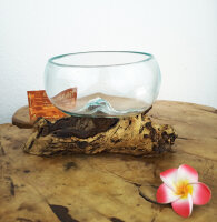 Wurzel mit Glasschale, ca. 14cm