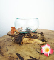 Wurzel mit Glasschale, ca. 14cm