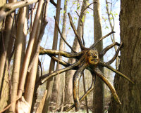 Baumwurzel mit Buddhagesicht, 40cm