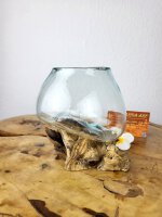 Glas auf Wurzel 12cm