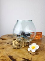 Glas auf Wurzel 12cm