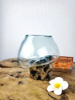 Glas auf Wurzel 12cm