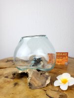 Glas auf Wurzel 12cm