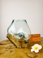 Glas auf Wurzel 12cm