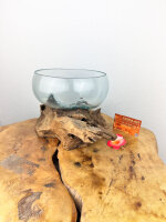 Glasschale auf Wurzel24cm