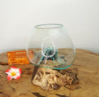 Wurzel mit Glas, ca. 15cm