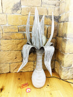 Stehlampe aus Palmenblättern withe-wash