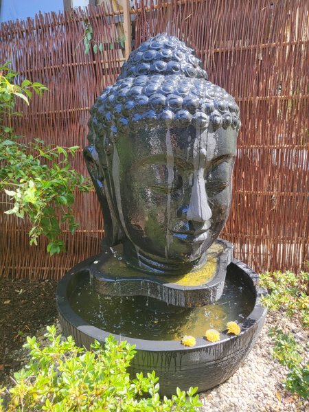 Buddhakopf als Springbrunnen mit Becken ca. 100cm