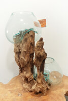 Teakwurzel mit  2 Gläsern, ca. 35 cm