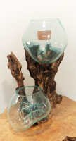 Teakwurzel mit  2 Gläsern, ca. 35 cm