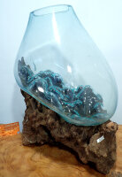 Teakwurzel mit Glas ca. 50cm