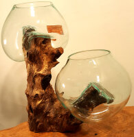 Teakwurzel mit  2 Gläsern, ca. 45 cm