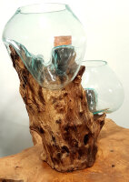 Teakwurzel mit  2 Gläsern, ca. 45 cm