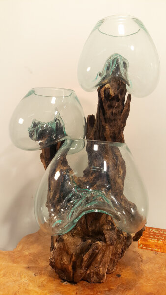 Teakwurzel mit  3 Gläsern, ca. 50 cm