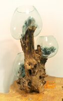 Teakwurzel mit  3 Gläsern, ca. 50 cm
