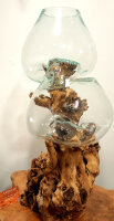 Teakwurzel mit  2 Gläsern, ca. 45 cm