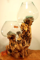Teakwurzel mit  2 Gläsern, ca. 45 cm