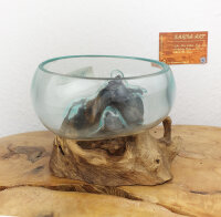 Wurzel mit Glasschale, ca. 14cm