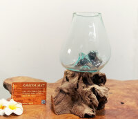 Blumenvase Glas auf Teakwurzel, ca. 25cm