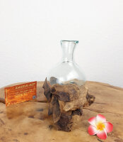 Blumenvase Glas bauchig auf Teakwurzel, ca. 25cm
