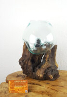Wurzel mit Glas, ca. 20cm