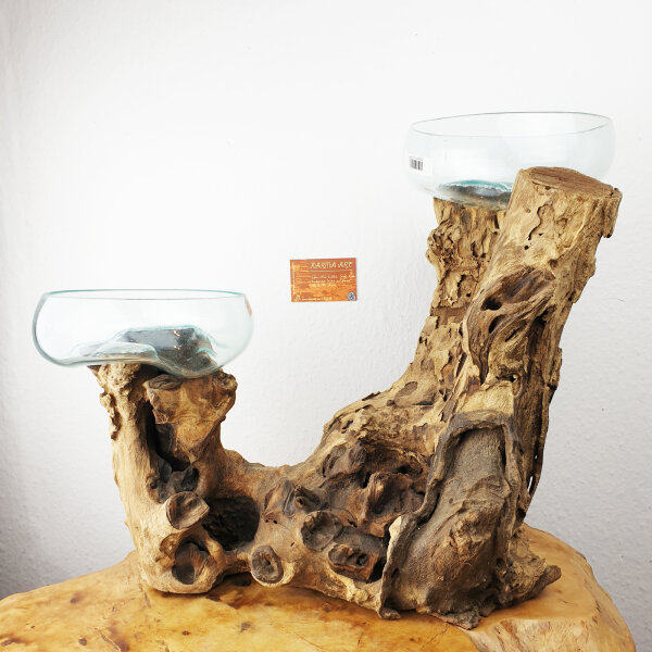Wurzel mit2 Glasschalen, ca. 24cm