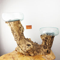 Wurzel mit2 Glasschalen, ca. 24cm