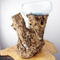 Wurzel mit2 Glasschalen, ca. 24cm