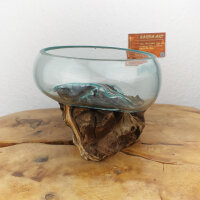 Wurzel mit Glasschale, ca. 14cm