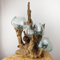 Teakwurzel mit  3 Gläsern, ca. 50 cm