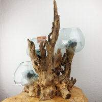 Teakwurzel mit  3 Gläsern, ca. 50 cm