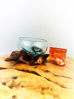 Obstschale auf Wurzel 14cm