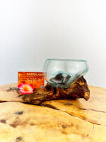 Obstschale auf Wurzel 12cm